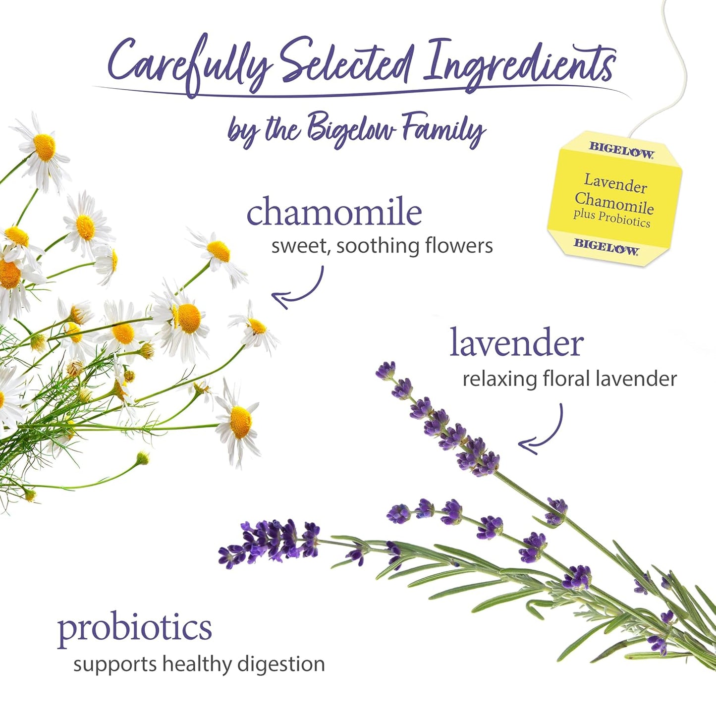 BIGELOW HERBAL TEA Lavender Chamomile + Probiotics, 18 Tea Bags