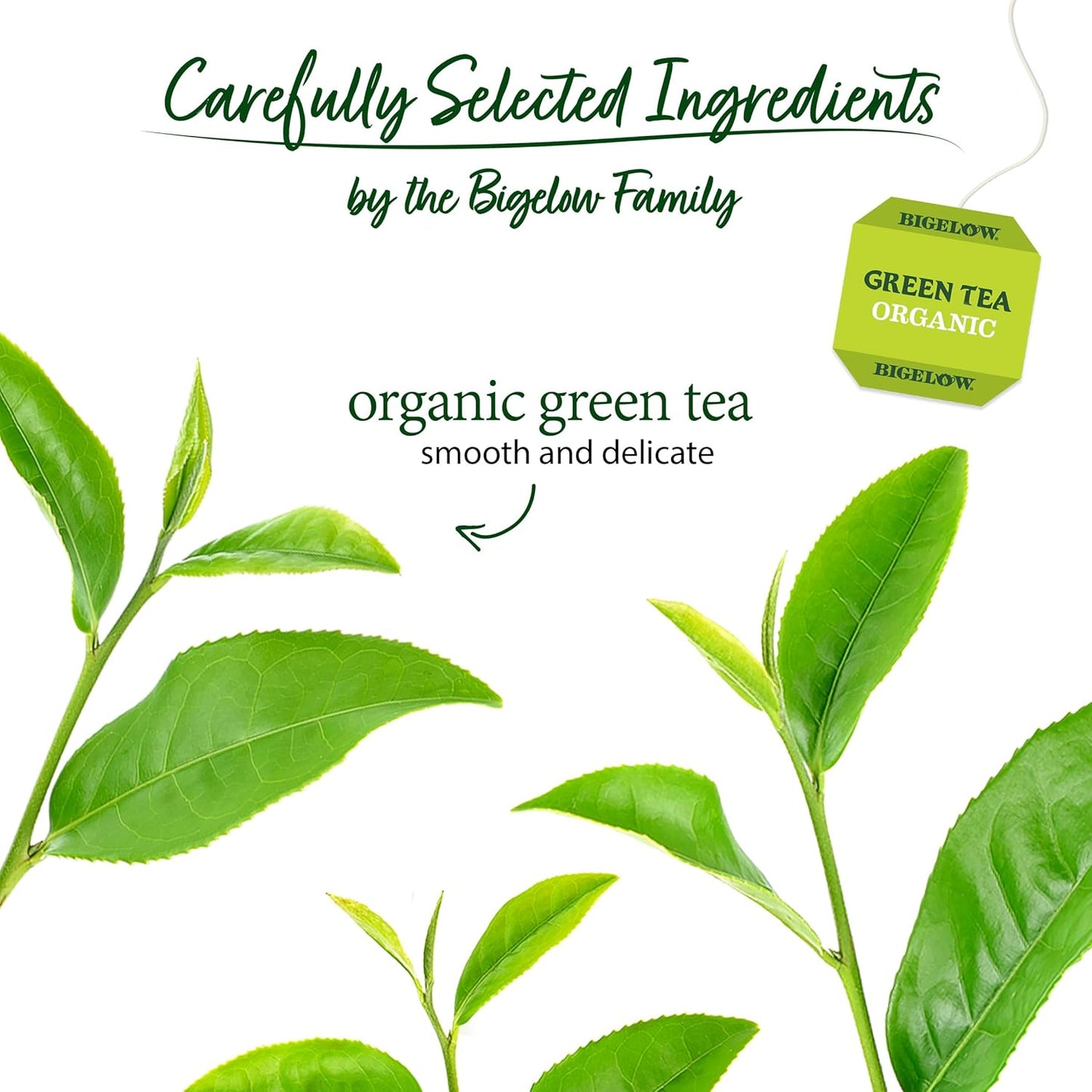 BIGELOW Green Tea Certified Organic, 40 Tea Bags