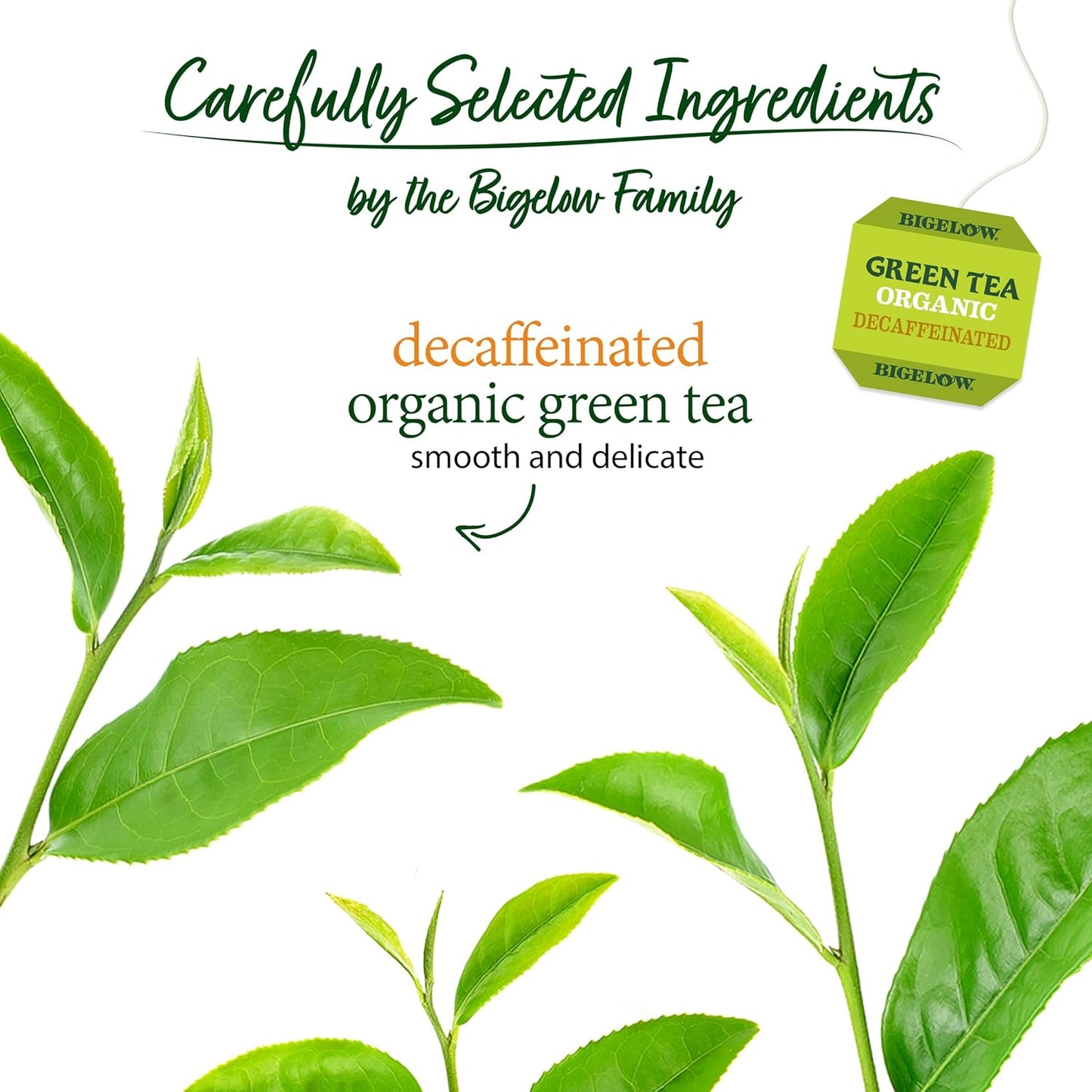 BIGELOW DECAFFEINATED Green Tea Certified Organic, 40 Tea bags