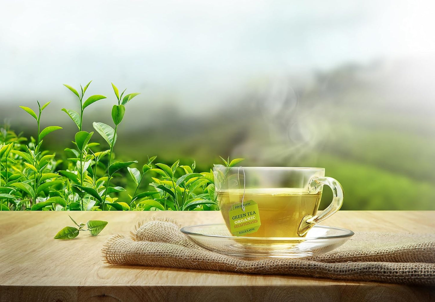 BIGELOW DECAFFEINATED Green Tea Certified Organic, 40 Tea bags